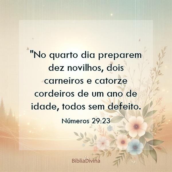 Números 29:23