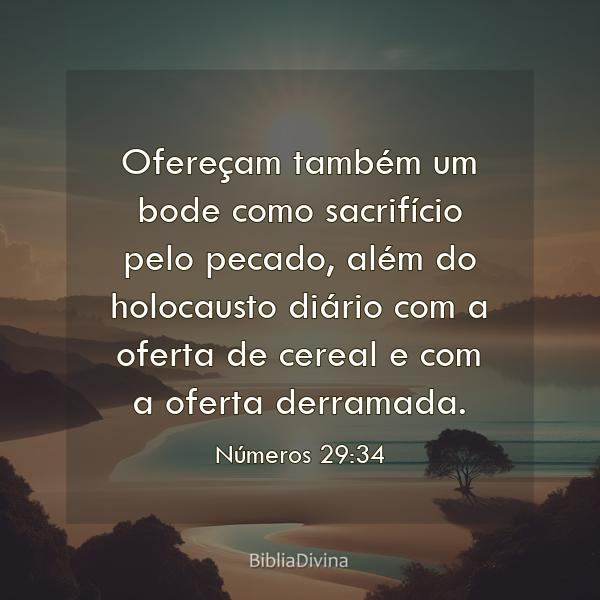 Números 29:34