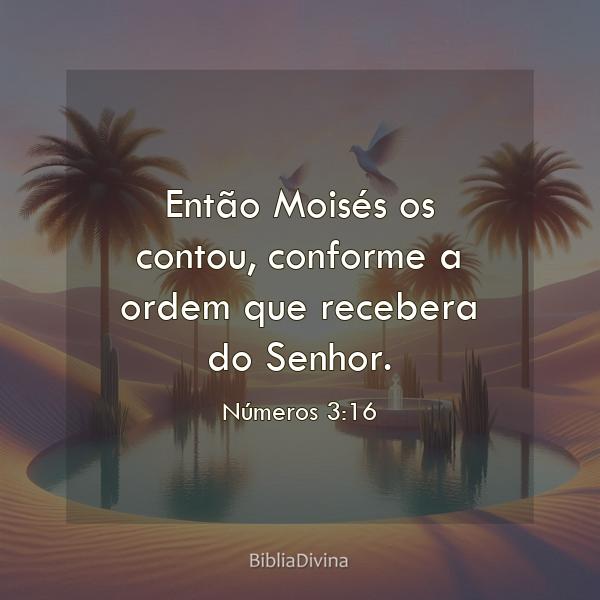 Números 3:16