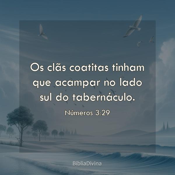 Números 3:29