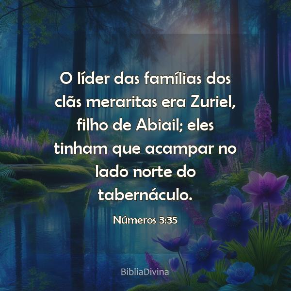 Números 3:35