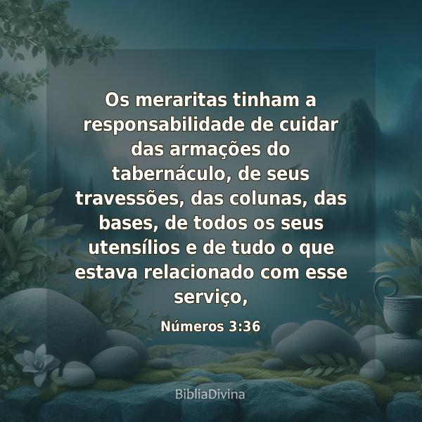 Números 3:36