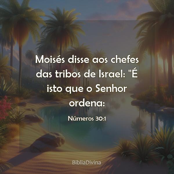 Números 30:1