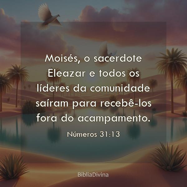 Números 31:13