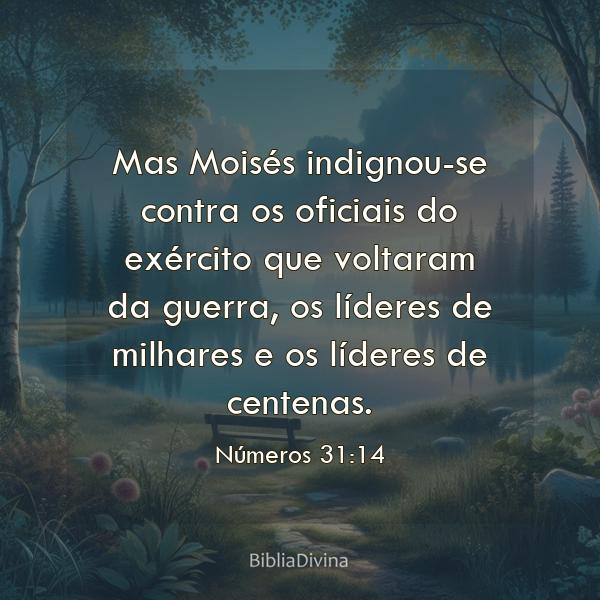 Números 31:14