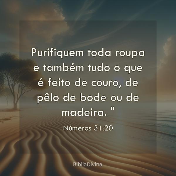 Números 31:20