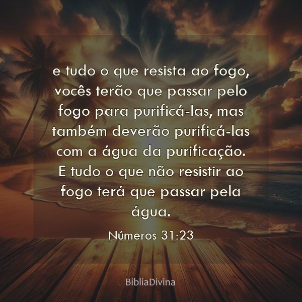 Números 31:23