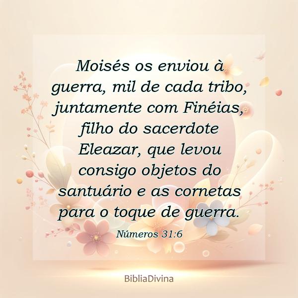 Números 31:6