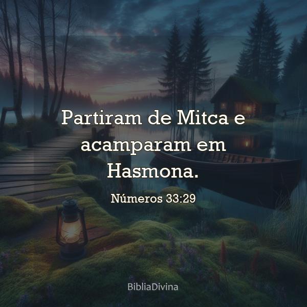 Números 33:29