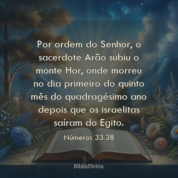 Números 33:38