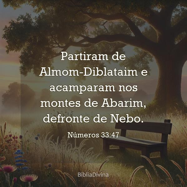 Números 33:47