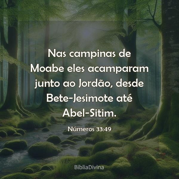 Números 33:49