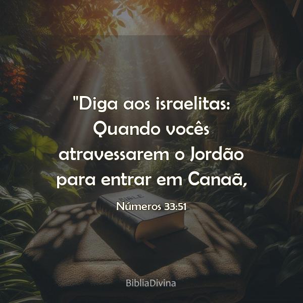 Números 33:51