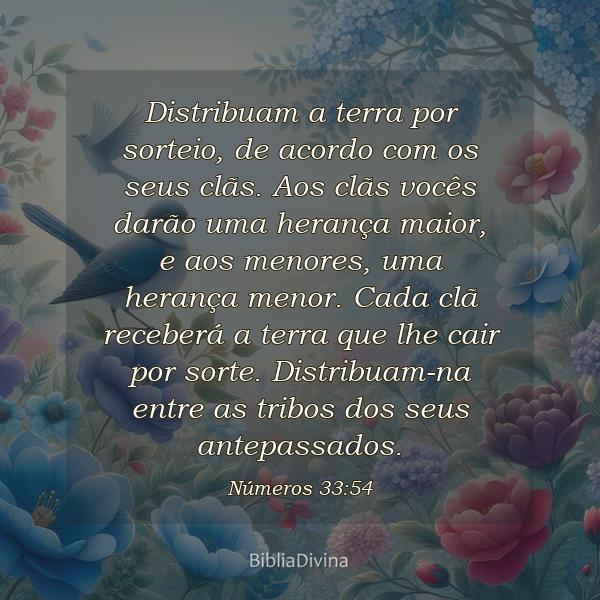 Números 33:54