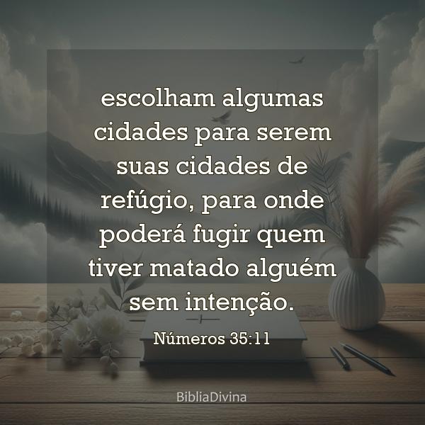 Números 35:11