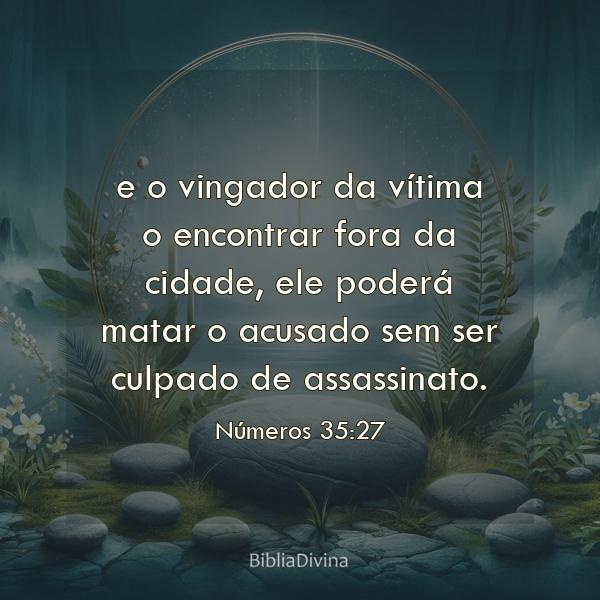 Números 35:27