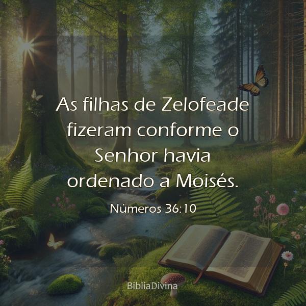 Números 36:10