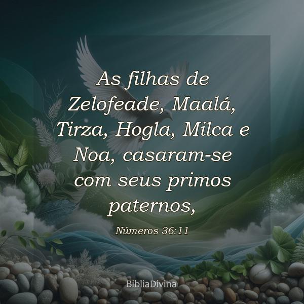 Números 36:11