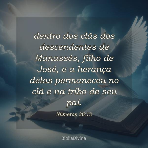 Números 36:12