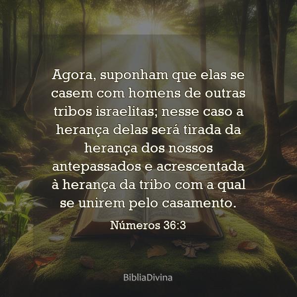 Números 36:3