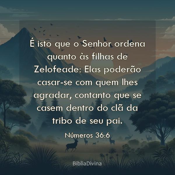 Números 36:6