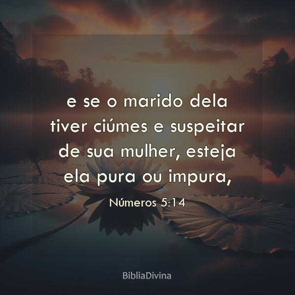 Números 5:14