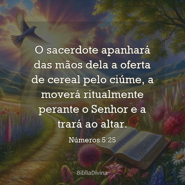 Números 5:25