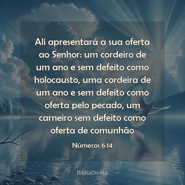 Números 6:14