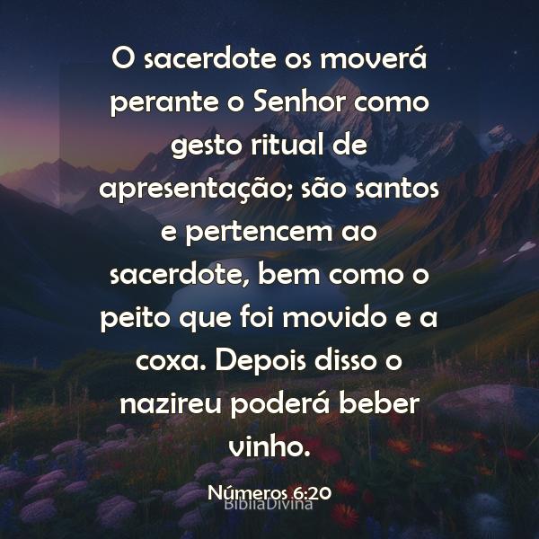 Números 6:20