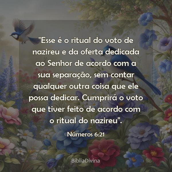 Números 6:21