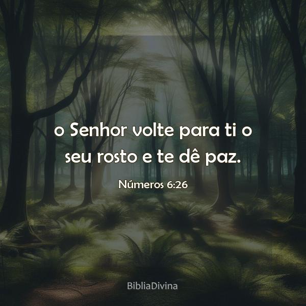 Números 6:26