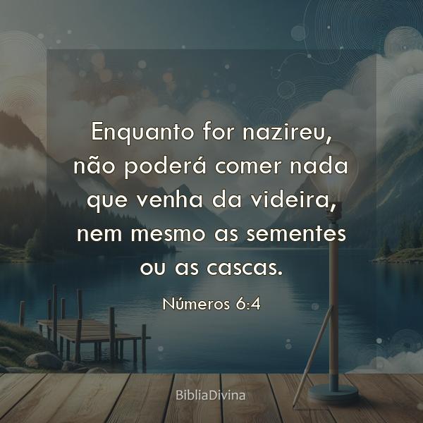 Números 6:4