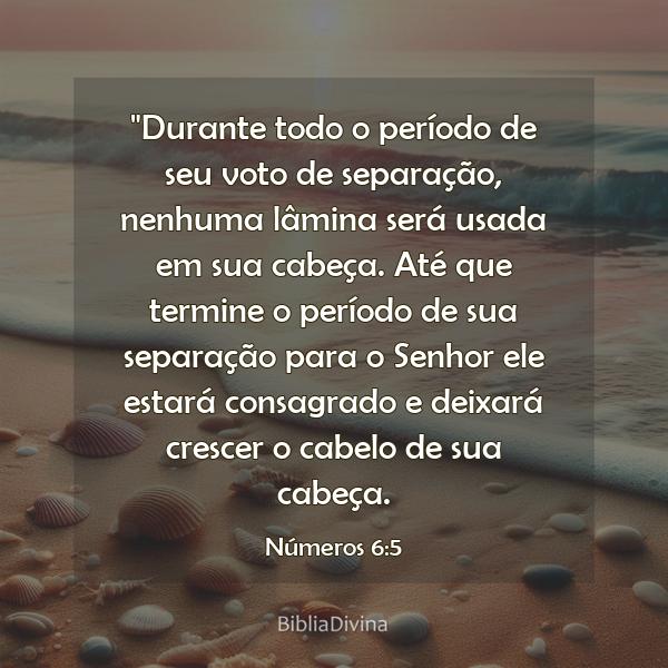 Números 6:5