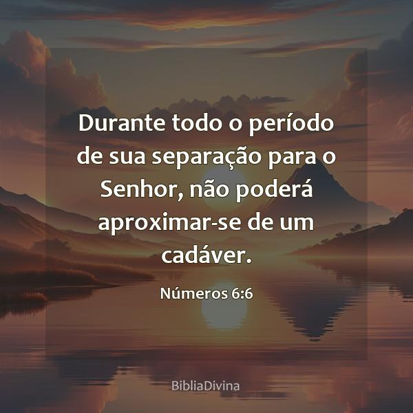 Números 6:6