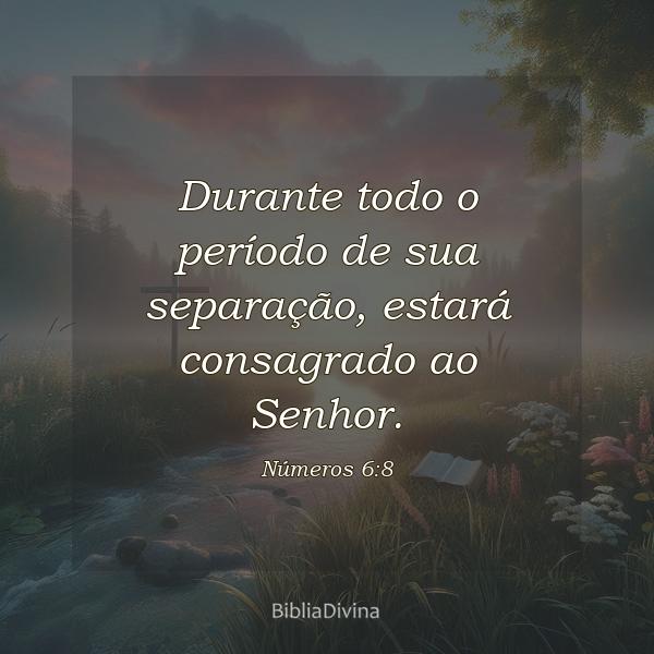 Números 6:8