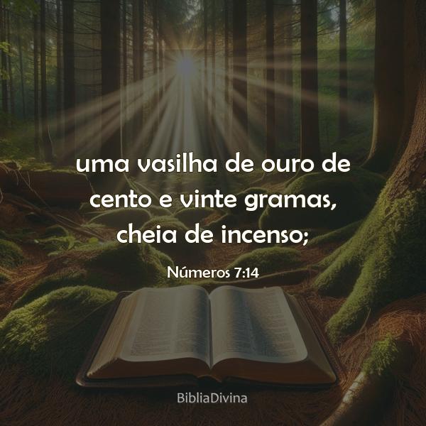 Números 7:14