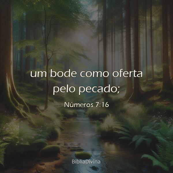 Números 7:16