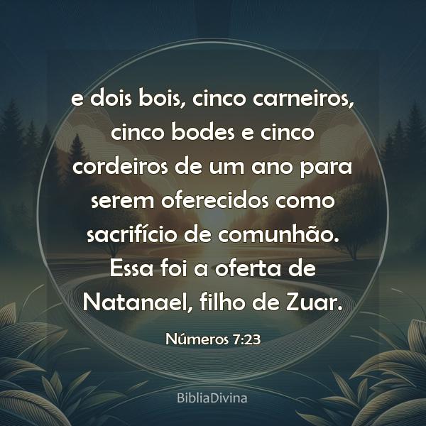 Números 7:23