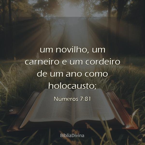 Números 7:81