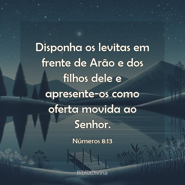 Números 8:13