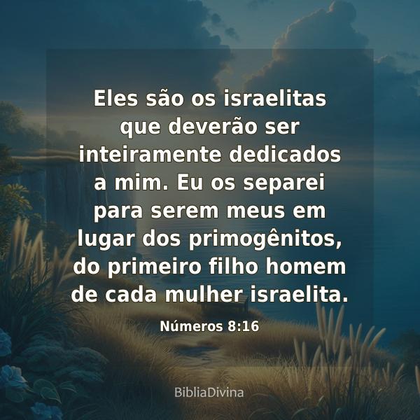 Números 8:16