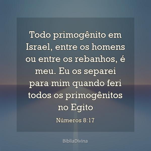 Números 8:17