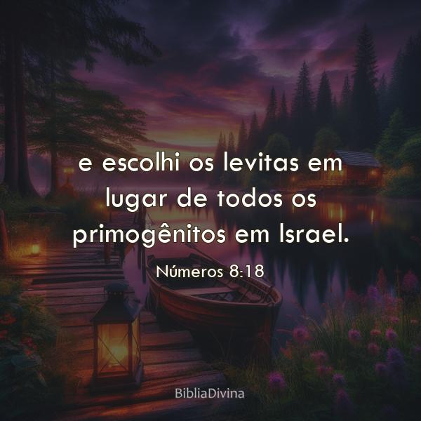 Números 8:18