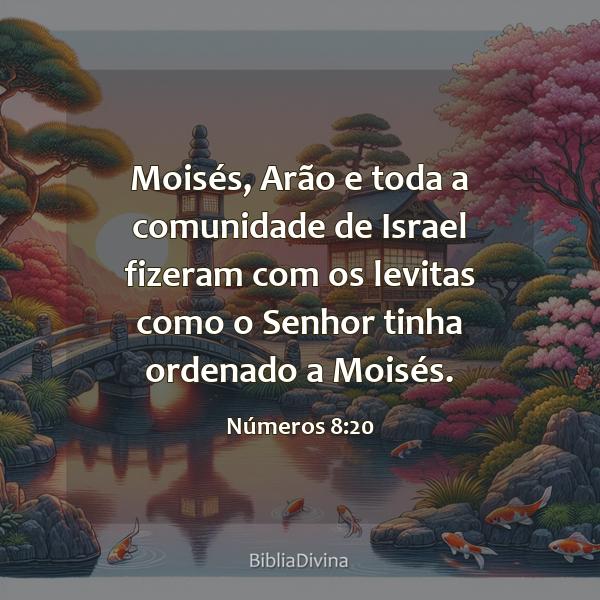 Números 8:20