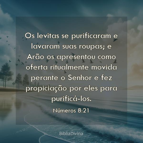 Números 8:21