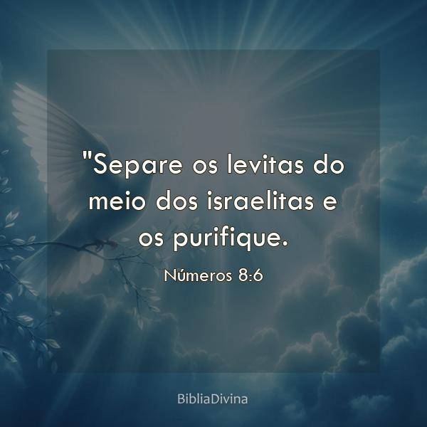 Números 8:6