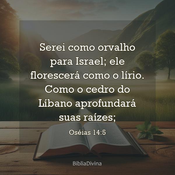 Oséias 14:5