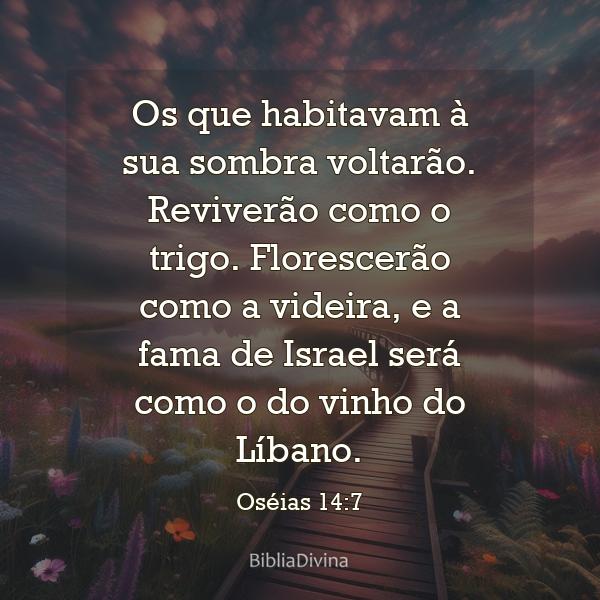 Oséias 14:7