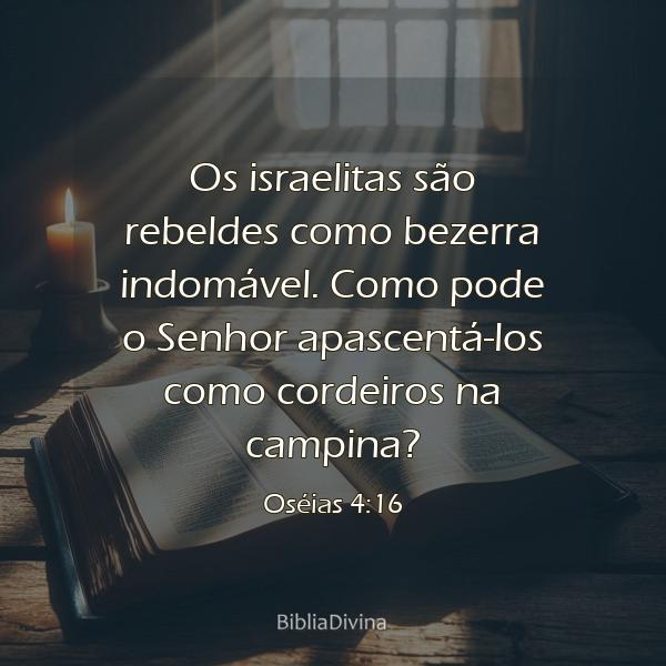 Oséias 4:16