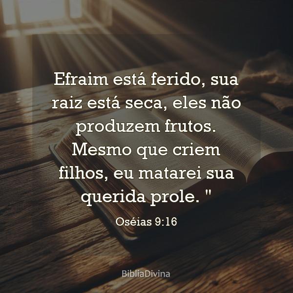 Oséias 9:16